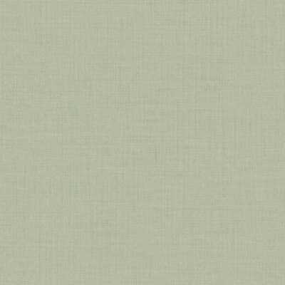 Icon IC1013