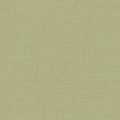 Icon IC1014