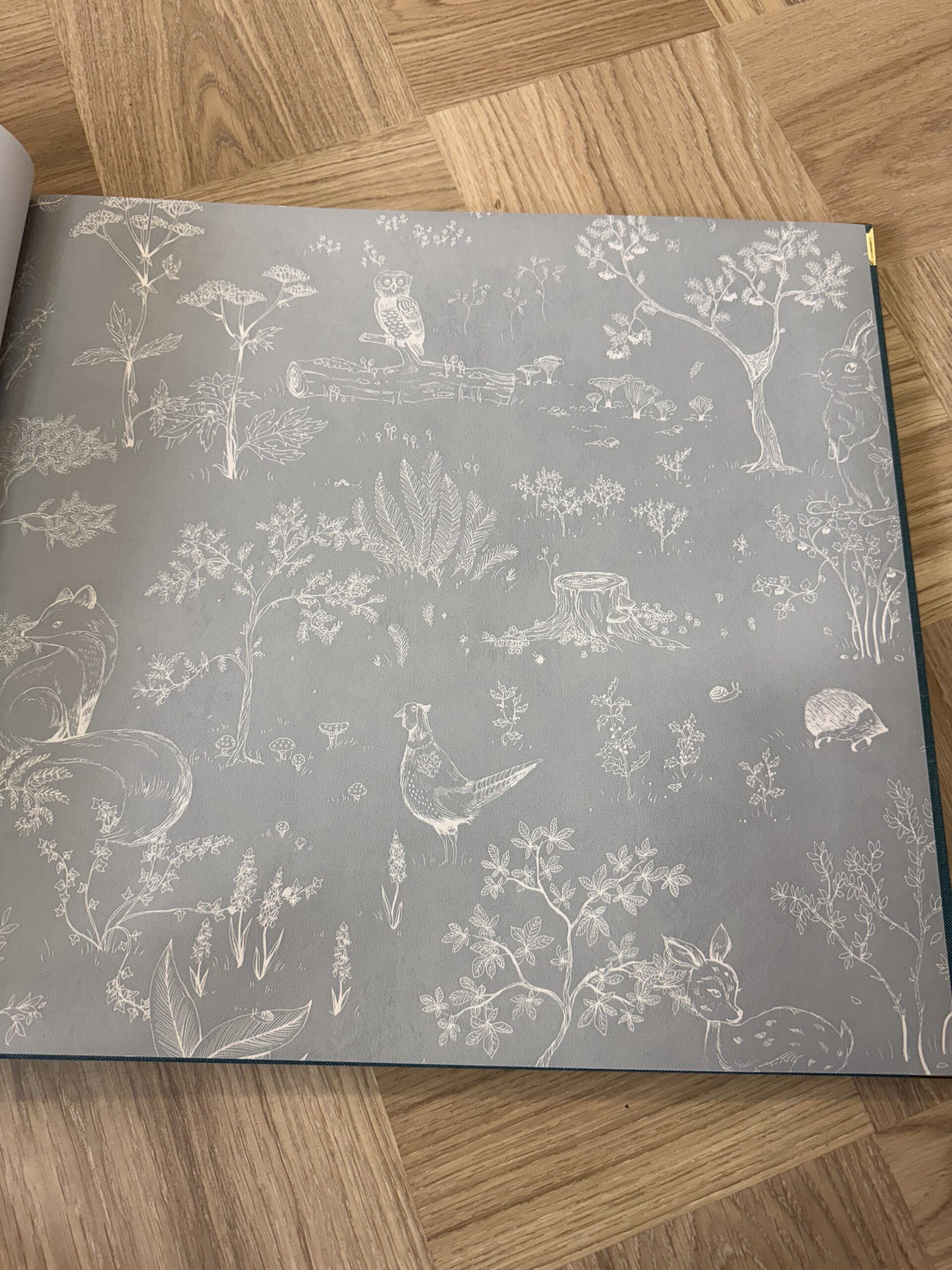 Sandberg Hollie, Misty Blue