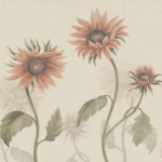 Sandberg Sunflowers, Peach