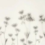 Rebel Walls, Astrantia Black & White