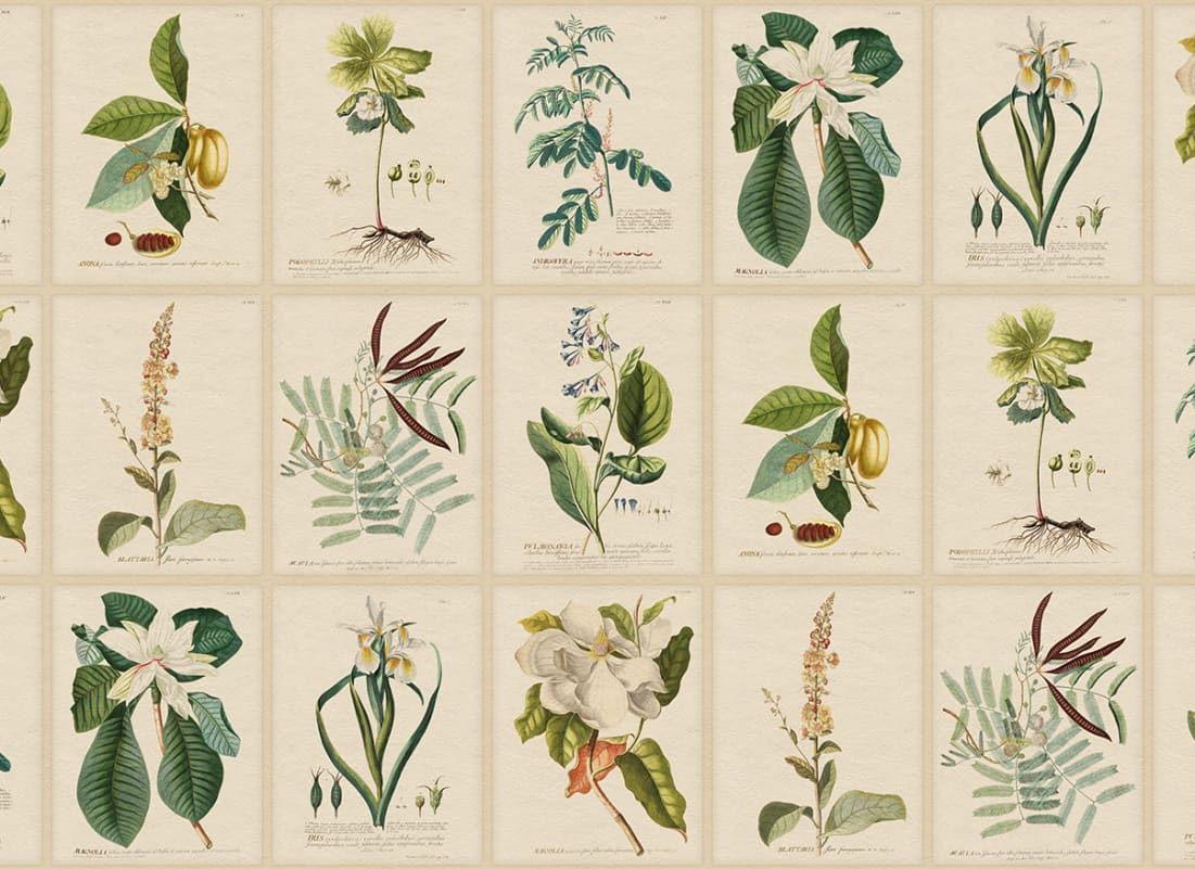 Sandberg Flora, Green produktbilde tapet