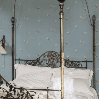 Sandberg Butterflies, Misty Blue