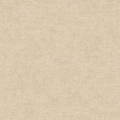 Linum 3 TT10013